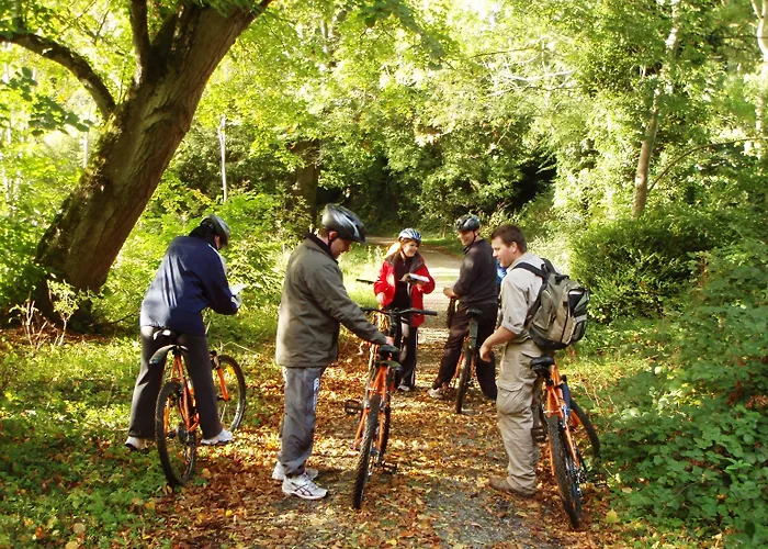 Отель Carton House A Fairmont Managed Мэйнут