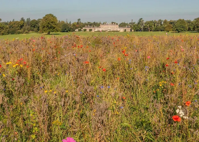 Отель Carton House A Fairmont Managed Мэйнут